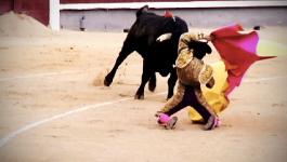 bullfightpreview